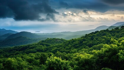 Obraz premium View of the sea of clouds from the top of the mountain peak before storm. Tropical rainforest.