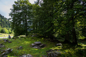 Summer in Uelhs Deth Joeu waterfall, Val D Aran, Spain