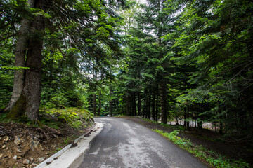 Summer in Uelhs Deth Joeu waterfall, Val D Aran, Spain