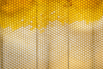 Drop of bee honey drip from hexagonal honeycombs filled with golden nectar