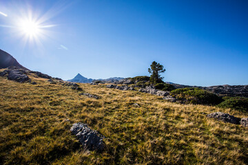 Summer landscape in the mountains of Navarra, Pyrenees, Spain