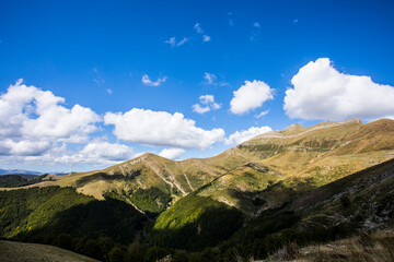 Summer landscape in the mountains of Navarra, Pyrenees, Spain