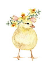 Watercolor illustration card with chick in flowers wreath. Isolated on white background. Hand drawn clipart. Perfect for card, postcard, tags, invitation, printing, wrapping.