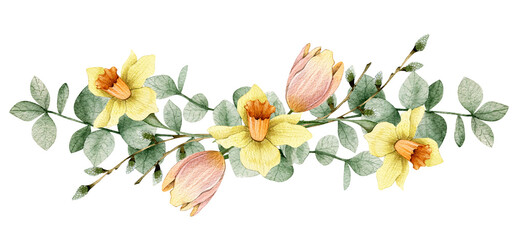 Watercolor illustration composition with tulips, narcissus flowers, eucalyptus, willow. Isolated on white background. Hand drawn clipart. Perfect for card, postcard, tags, invitation, printing, wrap. - obrazy, fototapety, plakaty