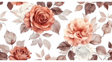 Watercolor of rose on white background