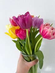 Beautiful bouquet of multicolored tulips spring flowers in vibrant pink, purple and yellow colors in female hand isolated on white close up, floral wallpaper background with spring tulips