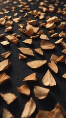 Dark black abstract background with wood chips