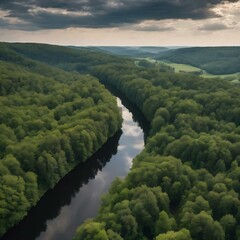 Fototapeta na wymiar River surrounded by forests under a cloudy sky in thuringia in germany