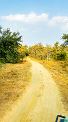 nature background photoshoot without filters