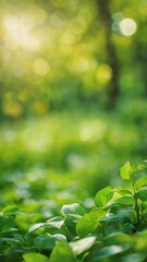 Obraz premium Green bokeh on nature blur background. element of design.