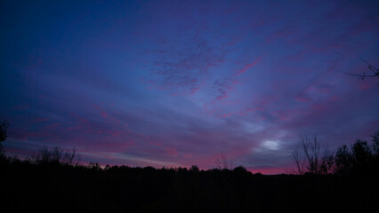 Vibrant sunset seen from the wild forest. Pastel colors in the evening sky. Cloud formations in abstract shapes