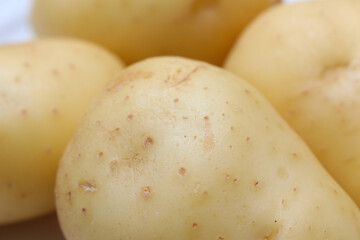 set of potatoes with selective focus. potato texture. potato background. potato details.