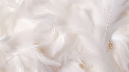 Beautiful fluffy white feather, abstract feather on white background. High resolution. Copy space for design and text. Pastel beige and white colors. High resolution.