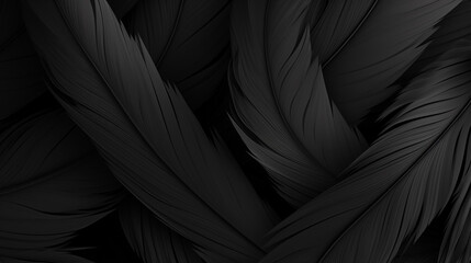 close up of texture - black feathers