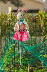 Épouvantail dans les jardinets de Saint-Aunès, Hérault, France