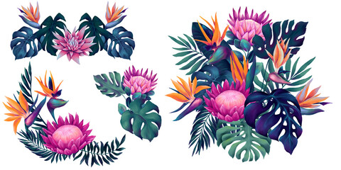 Collection of watercolor tropical bouquets with protea, strelitzia flowers and monstera and palm leaves in vibrant neon colors - obrazy, fototapety, plakaty