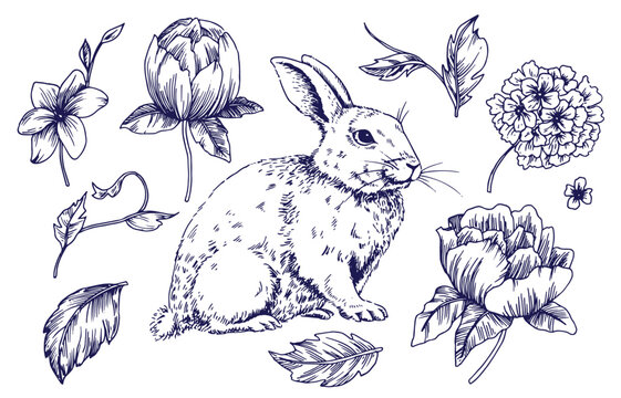 set with Easter bunny and flowers, hand drawing in vintage style. sketch