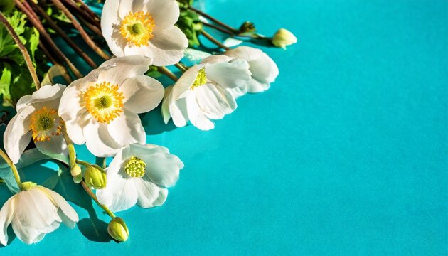 blossoming white anemonas and spring flowers festive background bright springtime bouquet floral card