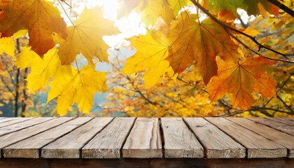 Naklejka na ściany i meble wooden table top over orange maple leaves in autumn
