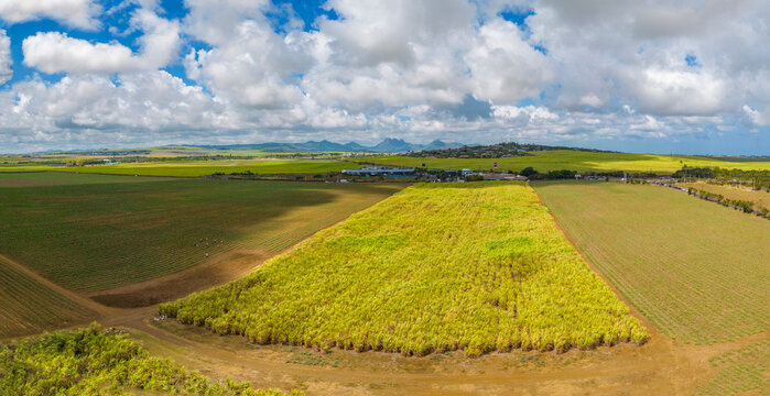 Aerial view of patchwork fields and mountains visible on horizon near Mapou, Rempart District, Mauritius