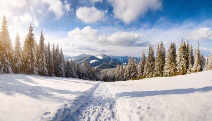Fototapeta na wymiar winter landscape of mountains with pathway on snow in fir forest and glade carpathian mountains