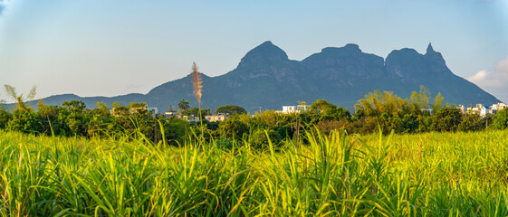View of farmland and mountains near Quatre Bornes, Mauritius