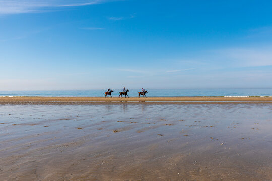 Riding horses on the Beach at Deauville, Deauville, Normandy