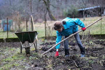 Adult Woman Farmer Cleaning her Domestic Vegetable Garden in Winter and Preparing It for Springtime