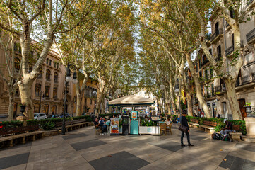 Tree lined Born avenue, Palma, Mallorca, Balearic islands, Spain, Mediterranean