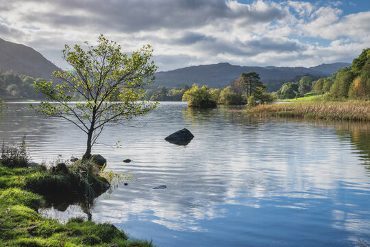 Early autumn, at Rydal Water in the Lake District National Park, UNESCO World Heritage Site, Cumbria, England