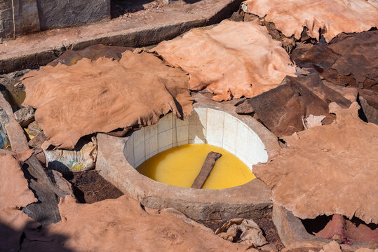 Marrakech Tanneries, Marrakesh, Morocco, North Africa
