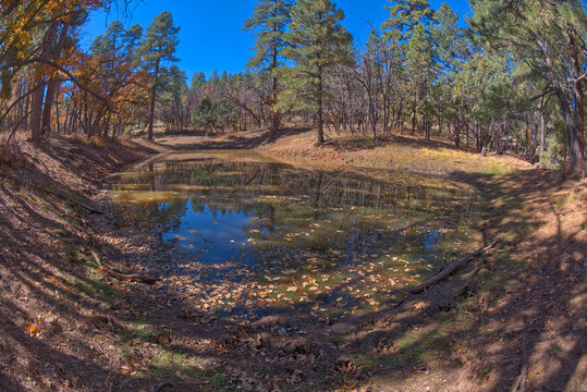 One of three ponds called the Hearst Tanks, on Grand Canyon South Rim, located one mile east of Grandview Point, Grand Canyon National Park, UNESCO World Heritage Site, Arizona 