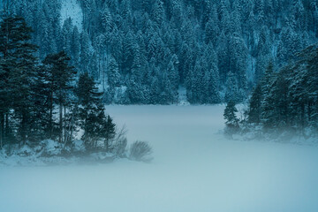 Obraz premium Lake Eibsee with ice and snow and the trees are embedded with fog at the background