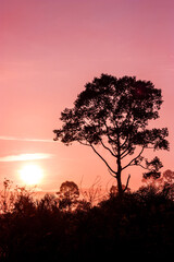 Trend color background