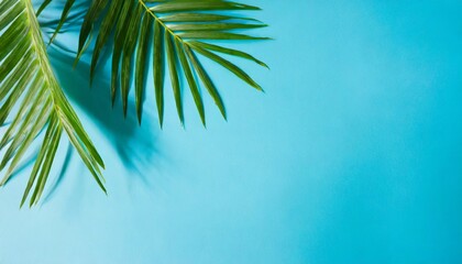 tropical palm leaves with shadow on blue background minimal nature summer styled flat lay free copy space for text - obrazy, fototapety, plakaty