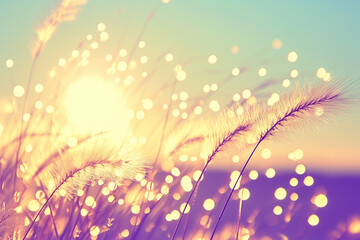 Golden Hour in Nature: Whimsical Wild Grass with Glistening Bokeh as the Sun Sets