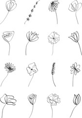 
Set of minimal botanical graphic in continuous drawing style isolated on white background 
