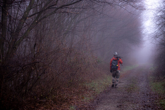 A photographer walking on the wet path with a tripod on his back. Foggy weather in the wild forest. Working in nature away from the office