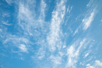 Blue sky background with beautiful white cloud in sunny day summer season. Nature and save environmental concept.
