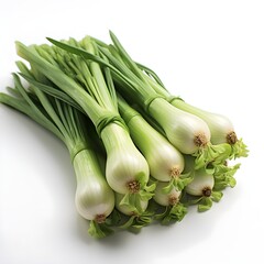 green onion isolated on white background with shadow. bunch of green onions isolated. green onion. Scallions. Spring onions isolated
