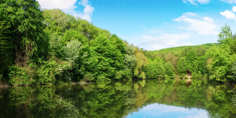 panorama of a lake among the beech forest. nature scenery with reflection on the water in summer on...