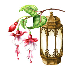 Fuchsia flower branch and old lantern. Hand drawn watercolor illustration isolated on white background