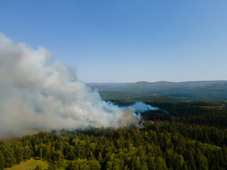 A forest fire due to strong winds and hot weather in summer. A pine forest with white smoke is...