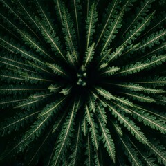 Overlapping green forms background