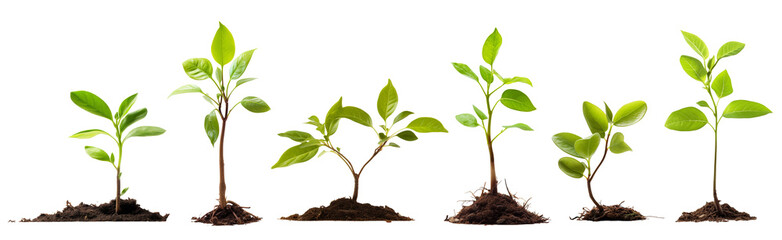 isolated illustration of tree sprouts from the ground. Created with Generative AI