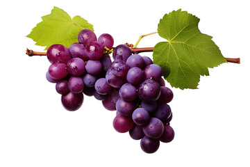 Fototapeta premium A bunch of red grapes. The file contains clipping paths isolated on a Transparent background. Generative AI