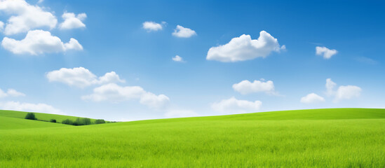 Fototapeta na wymiar Idyllic Rolling Green Hills Under a Clear Blue Sky with Wispy Clouds. Tranquil Nature Landscape Concept