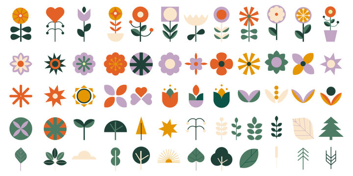 Geometric modern Abstract nature plants flowers in flat minimalist style.  Bauhaus