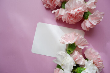 Pale pink and white carnation flower composition with blank letter paper on pink background. Flowers and blank card decoration background for mother's day, Women's day and anniversary design.