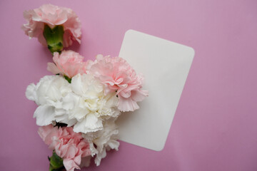 Pale pink and white carnation flower composition with blank letter paper on pink background. Flowers and blank card decoration background for mother's day, Women's day and anniversary design.